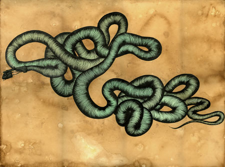   DE_snake