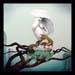 Egrets