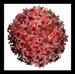 Flowerball
